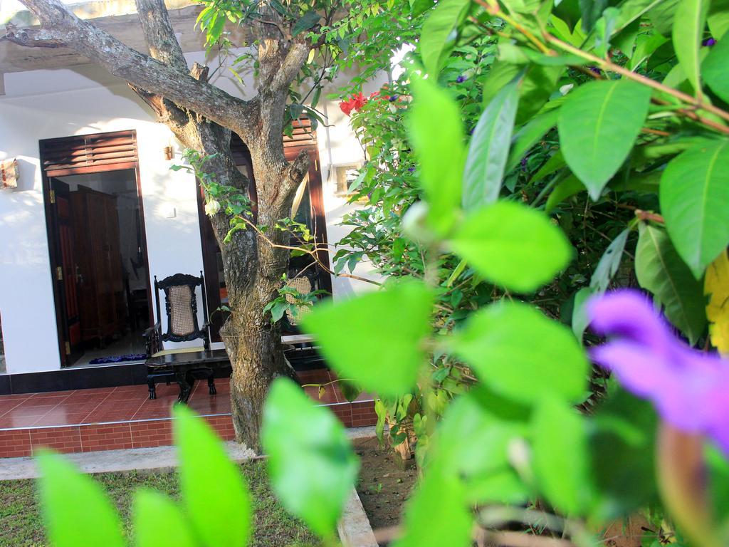 Lotus Villa Mirissa Dış mekan fotoğraf