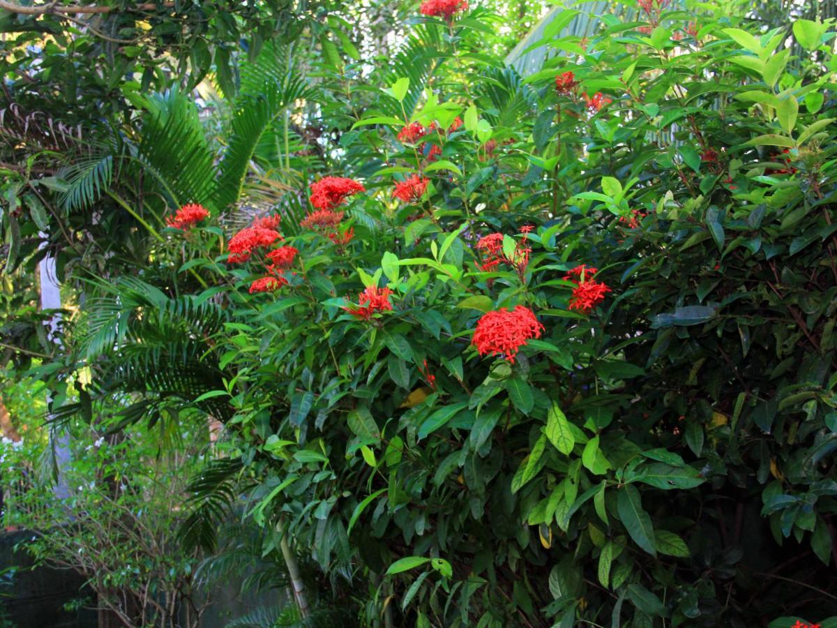 Lotus Villa Mirissa Dış mekan fotoğraf