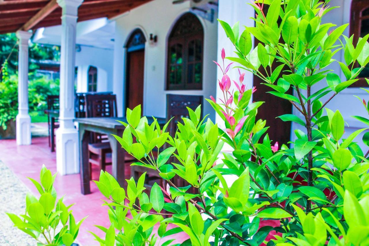 Lotus Villa Mirissa Dış mekan fotoğraf